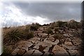 PC082972.JPG