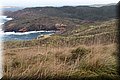 PC082981.JPG