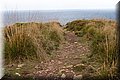 PC082982.JPG