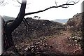 PC083015.JPG
