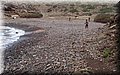 PC083024.JPG
