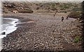PC083025.JPG