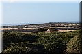 PC083073.JPG