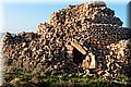 PC083105.JPG