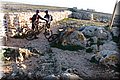 PC083115.JPG