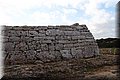 PC093144.JPG