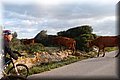 PC093159.JPG