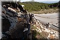 PC093220.JPG