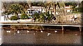 PC093232.JPG