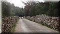 PC093244.JPG