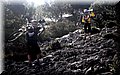 2012_12230038.JPG