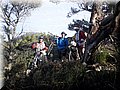 2012_12230061.JPG