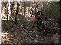 2012_12230080.JPG