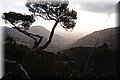 PC223575.JPG