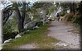 PC223576.JPG