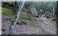 PC223588.JPG