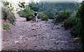 PC223608.JPG