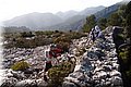 PC223636.JPG