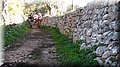 PC293869.JPG