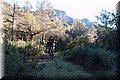 PC293875.JPG