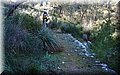 PC293877.JPG