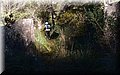 PC293879.JPG