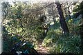 PC293887.JPG