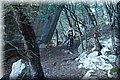 PC293901.JPG