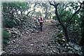 PC293919.JPG