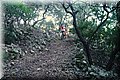 PC293920.JPG