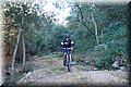 PC293964.JPG