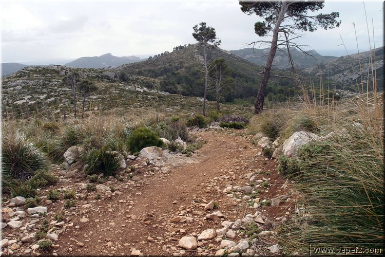P2025081.JPG