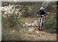 2013_02020027.JPG