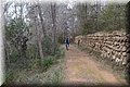 P2025033.JPG