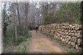 P2025041.JPG