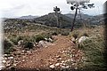 P2025081.JPG
