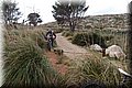 P2025106.JPG