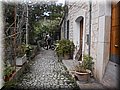 2013_02090012.JPG