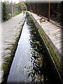 2013_02090014.JPG