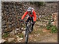 2013_02090070.JPG