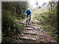 2013_02090078.JPG