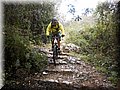 2013_02090080.JPG