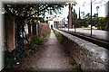 P2095604.JPG