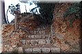 P2095613.JPG