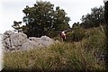 P2095655.JPG