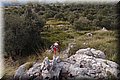 P2095656.JPG