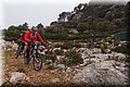 P2095689.JPG