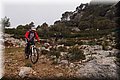 P2095690.JPG