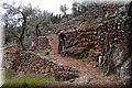 P2095694.JPG