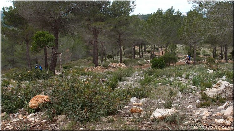 P2145854.JPG